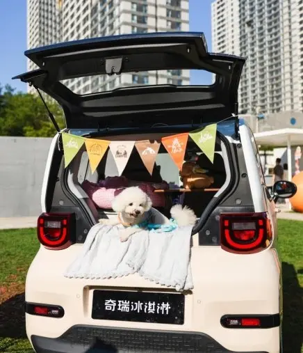 与奇瑞冰淇淋的秋日约定:风景在变,温暖不变-3